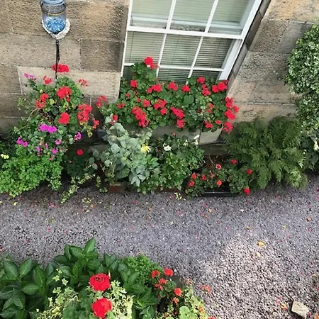 22 Chester Street بيت ضيافة