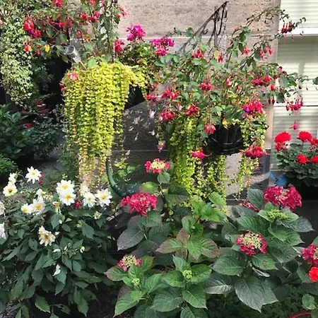 بيت ضيافة 22 Chester Street إدنبرة