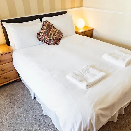 エルダー ヨーク 3*