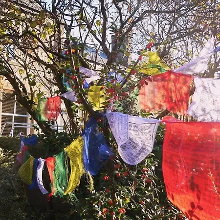 Bed and Breakfast Panda 4*