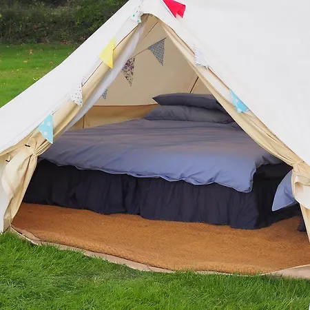 Glamping Festival Pop Up *