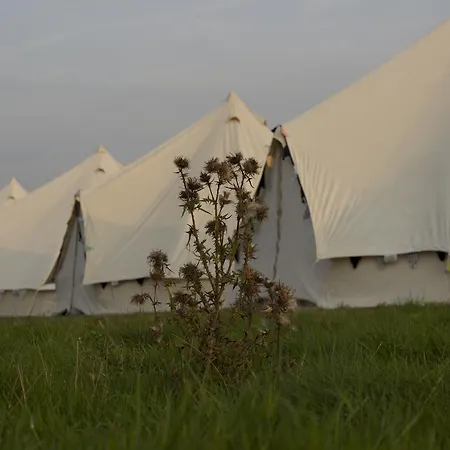 Glamping Festival Pop Up *