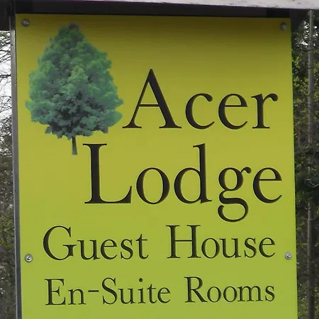 Acer 4*