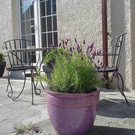 Aaron Glen Apartment *