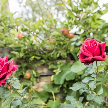 Pensjonat Menzies 3*