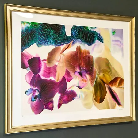 Joivy Stylish In New Town Edimburgo