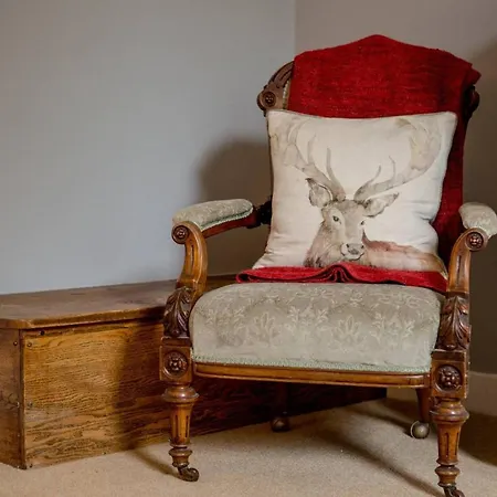 Daire Joivy Spacious In New Town Prime Location