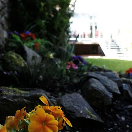 Culane House - 4*
