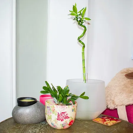 Bright 1 Bedroom Flat Apartamento