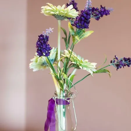 Montgomery - Stevensons Apartment Edinburgh