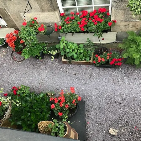 بيت ضيافة 22 Chester Street 4*