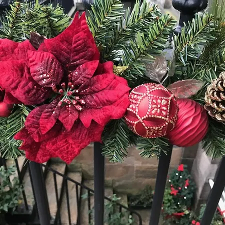 22 Chester Street بيت ضيافة 4*