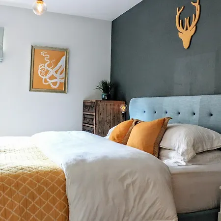 Appartement Contemporary With Garden Edinburgh