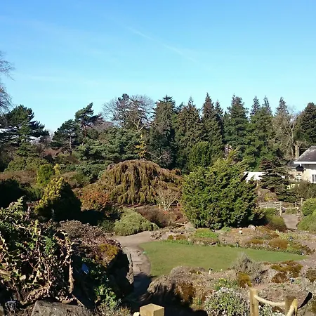 Violet Bank New Town
