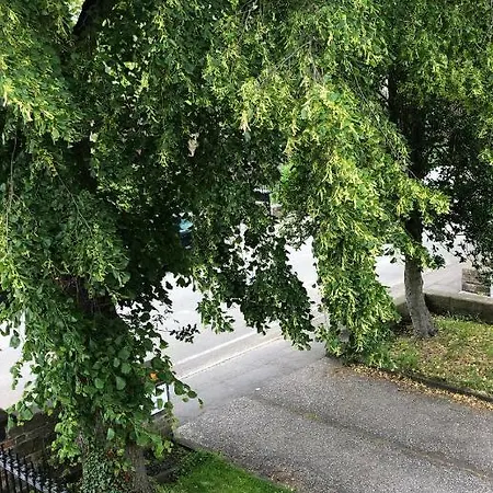 Ashdene House بيت ضيافة 4*