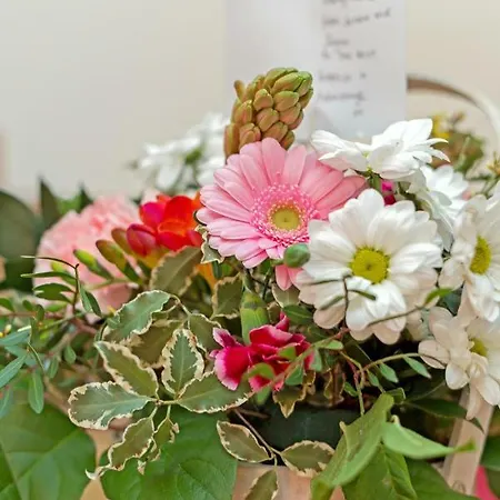 アナザー ルーム