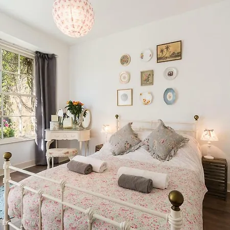 Vintage Apt, Pvt Garden, Wifi, New Town