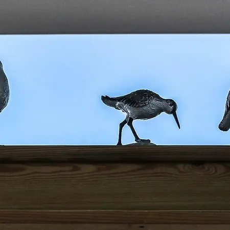 Lägenhet Ark At Anchor Edinburg