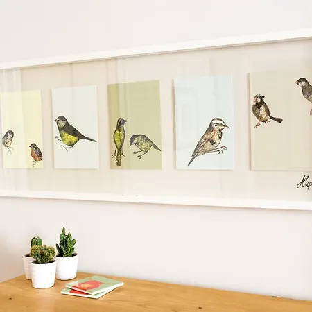 Beautiful, Traditional 2 Bedroom Main Door Flat *