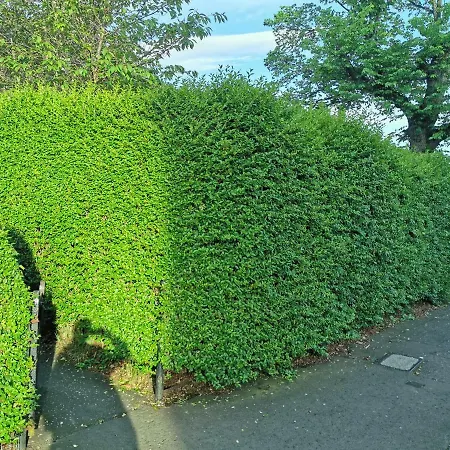 Loganlea Avenue Séjour chez l'habitant Édimbourg