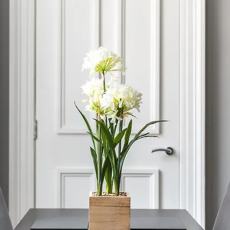 Apartment Spacious Newly Refurbished *