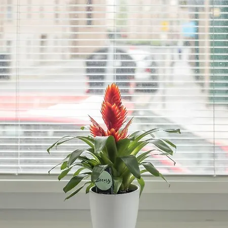 Haymarket Spacious 3 Bedroom Street Level 아파트 *