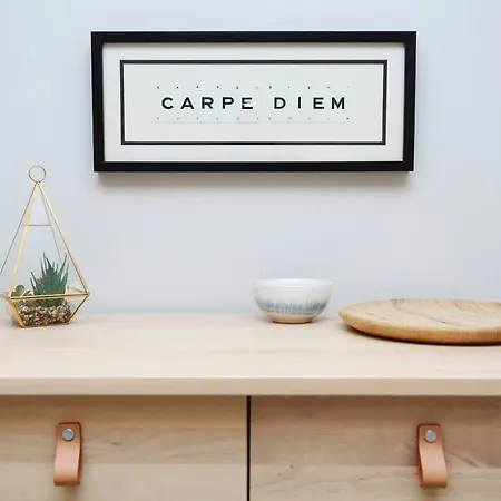 Joivy Vibrant Near Calton Hill *