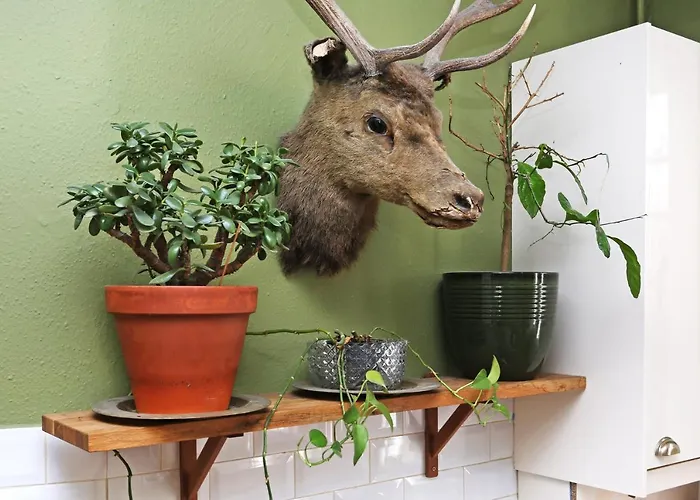 Joivy Iconic Colorful On The Royal Mile Διαμέρισμα