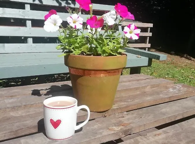 Tatil Evi Lowood Edinburgh