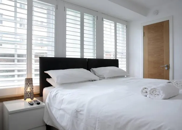 Turtle אדינבורו