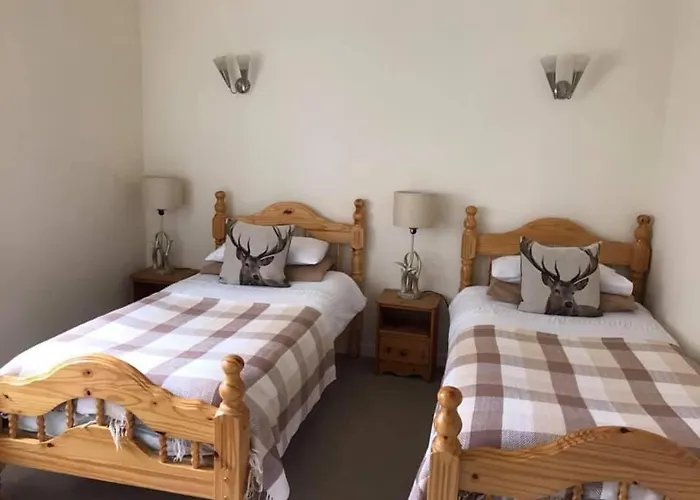 The Stag Head