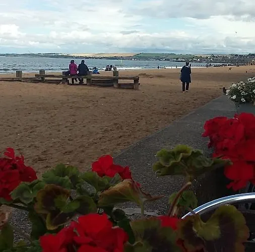 Apartment Two Bedroom With Free Side Street Parking 24