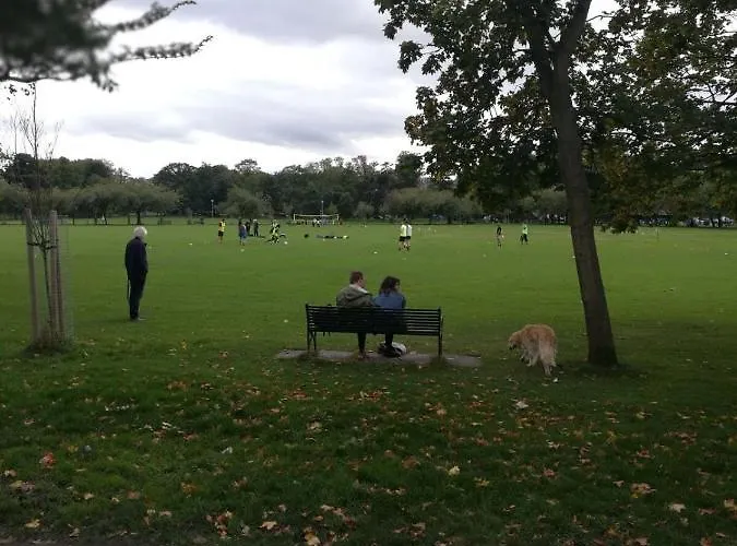 Fringe Base With Garden Near The Meadows *