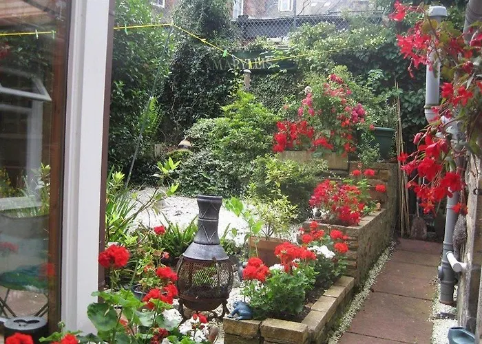 Amaryllis Affittacamere