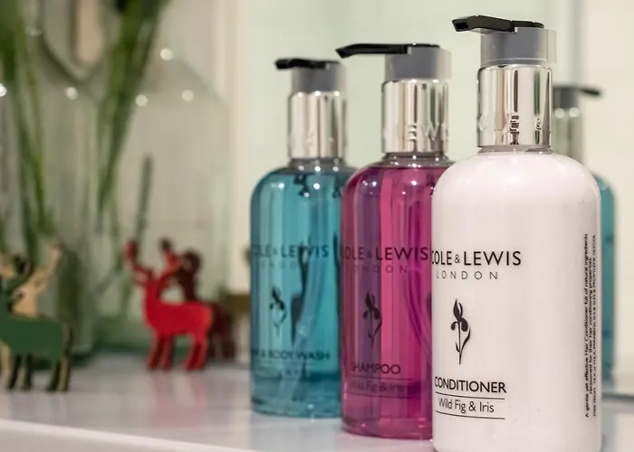 Castle View Luxury 1 Bed דירה אדינבורו