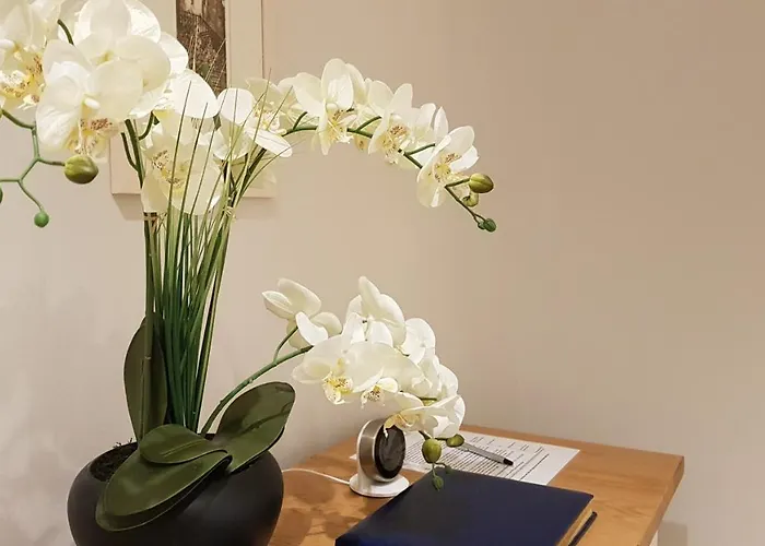 Gorgeous 3-bedroom Edinburgh