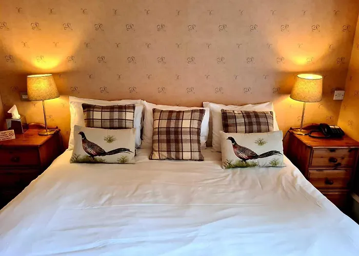 Otel Ceilidh-donia 3*