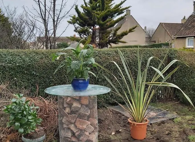 公寓 White House In Edinburgh, 2 Bedroom Good Location *