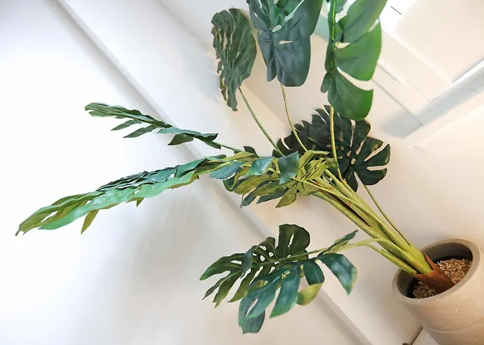 Dalmeny Street شقة