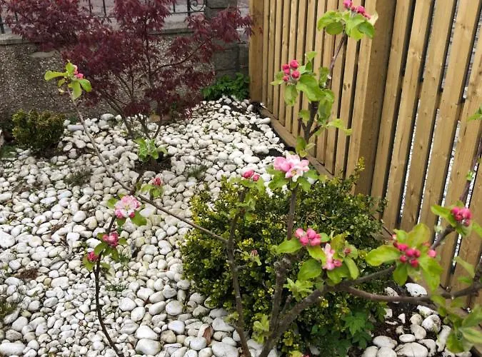 Netherby Guest house