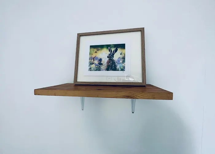 Apartment Gorgie Nook Edinburgh