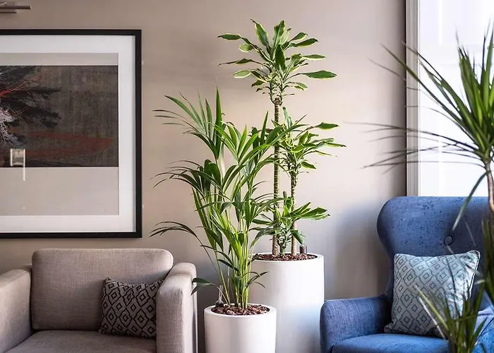 Hotel apartamentowy Heeton Concept Queen Street Edynburg