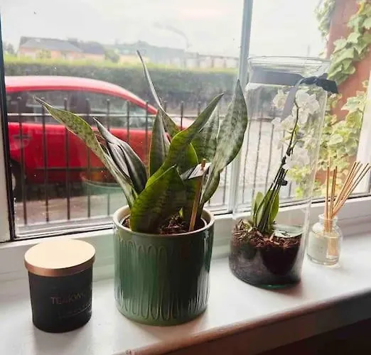 Large 2 Bedroom, Ground Floor Flat, Close To Daire *