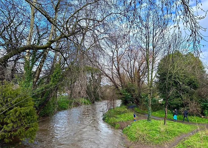 Urban Oasis:perfect In City Apartment *
