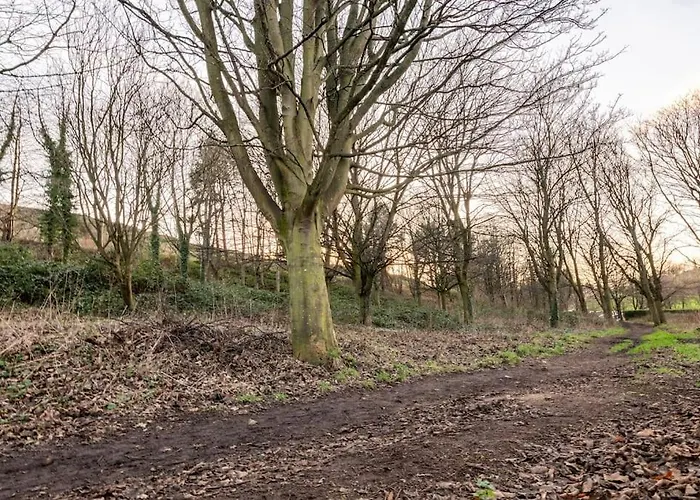 The Holyrood Park Hideaway Is A Lush & Arty 2 Double Bed Edynburg