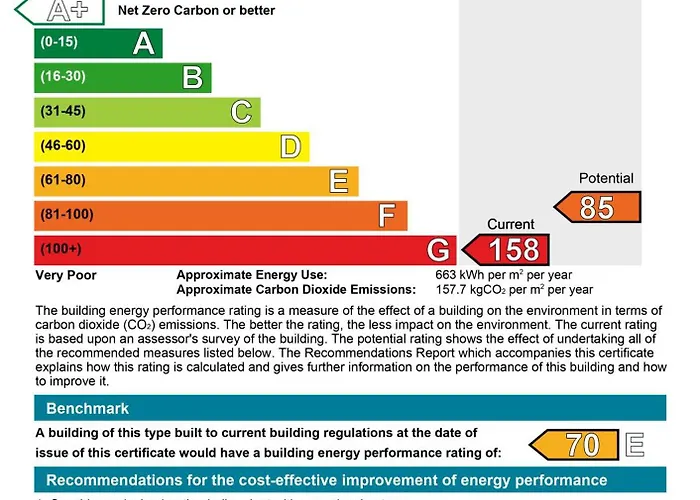 Ivy- Braveheart Πανσιόν