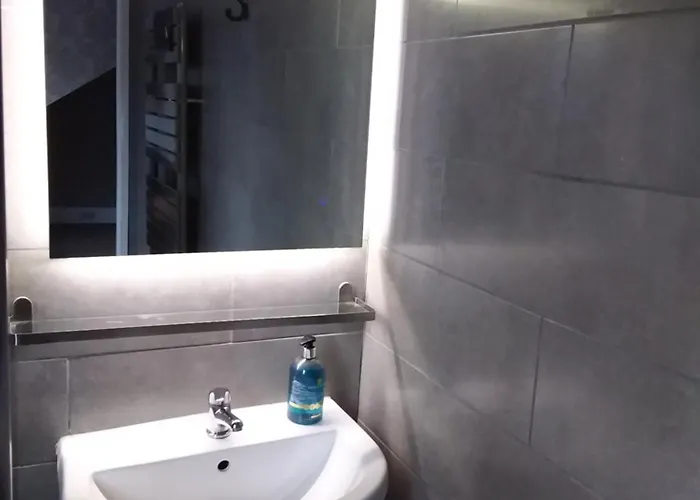 Ivy- Braveheart Πανσιόν