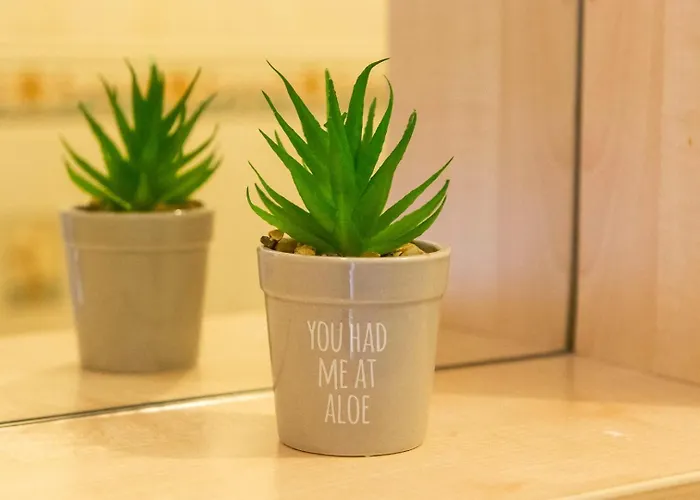 Apartment Guestready - 3bdr W/ Private Parking