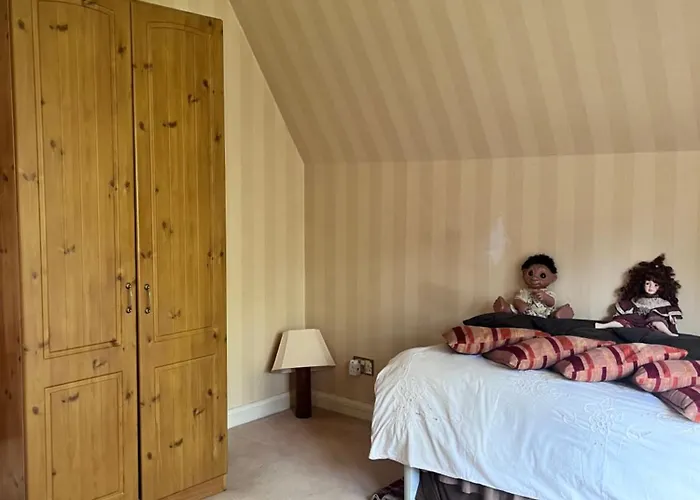 Private In Charming Detached House In Newington Homestay *