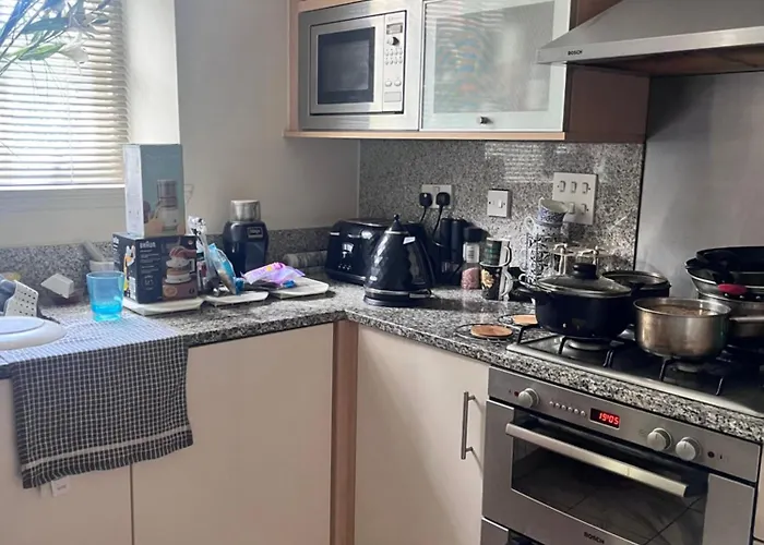 Homestay Private In Charming Detached House In Newington